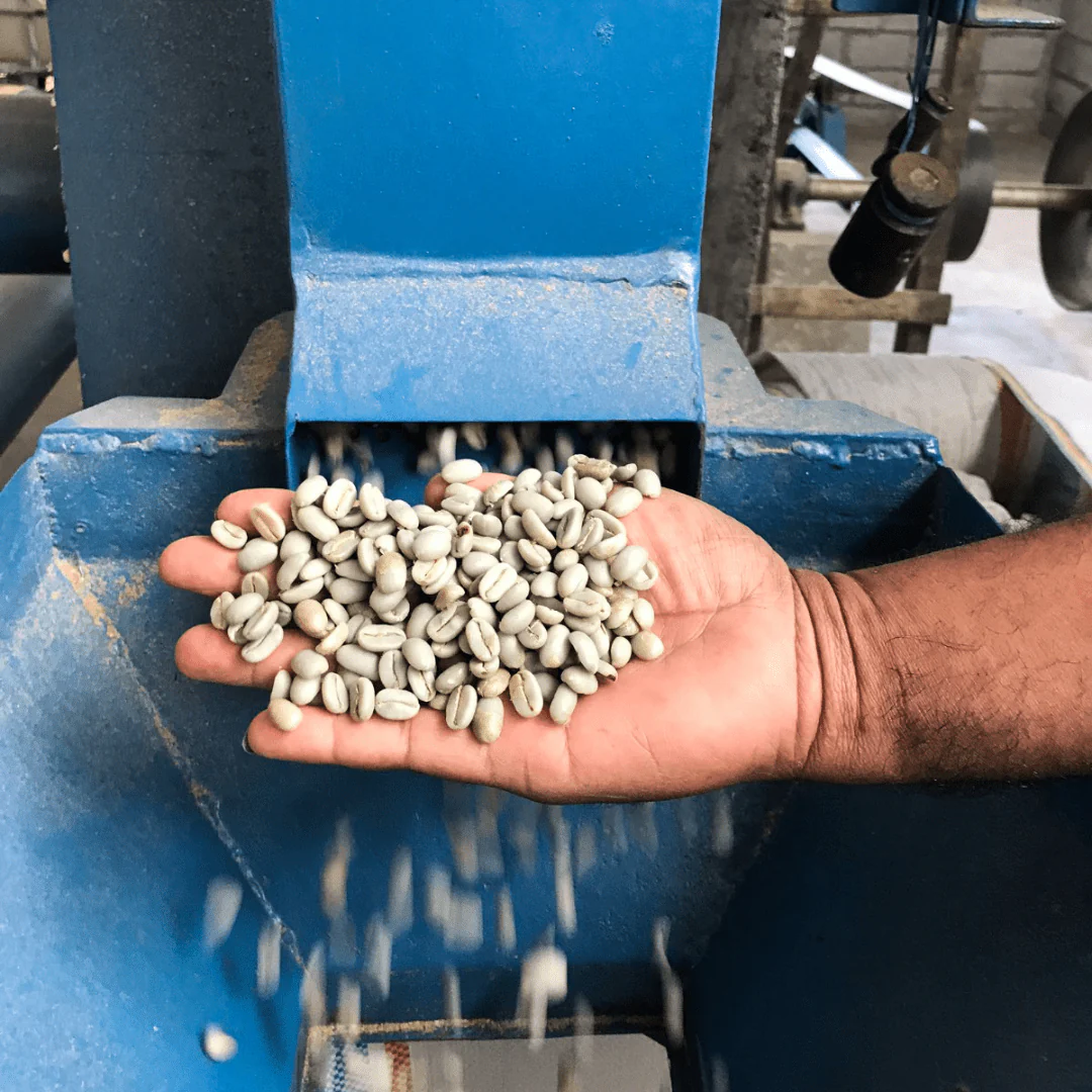 Frinsa, [Java] - Image 5