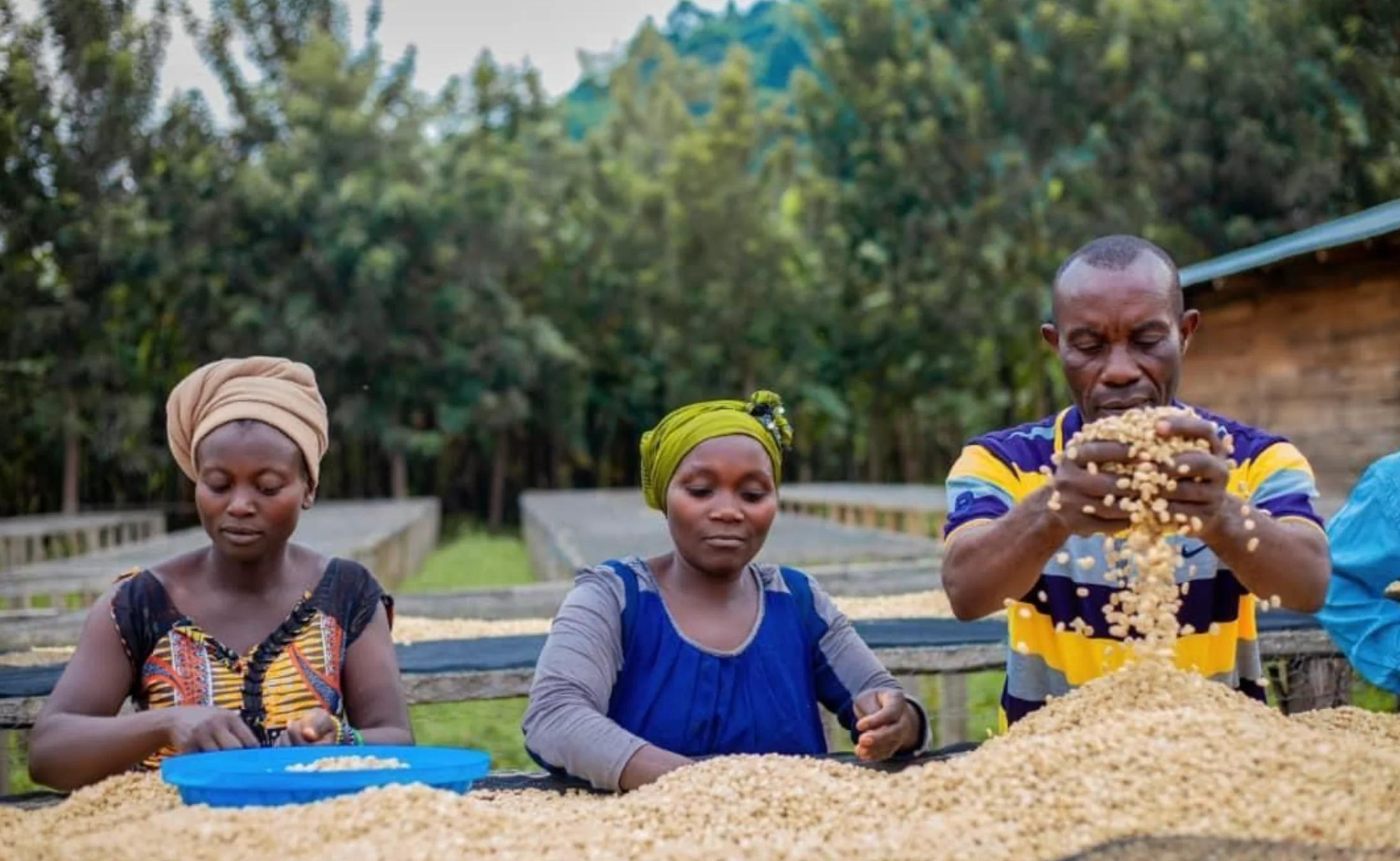 Kivu [Congo] - Image 3